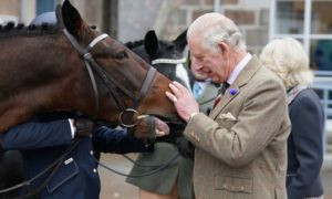 L'incoronazione di Carlo III sar&agrave; in nome degli animali
