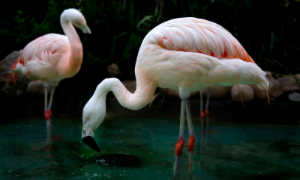 Il festival del Turismo Responsabile It.a.c&agrave; Migranti e Viaggiatori fa tappa a Quartu