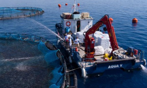 Cala Gonone e Orosei al centro dei progetti di Aqua De M&acirc;