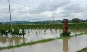 Emilia Romagna, agricoltura in ginocchio, a rischio estinzione le biodiversit&agrave; emiliane