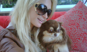 Paris Hilton annuncia sui social la morte di Harajuku, la sua amata chihuahua