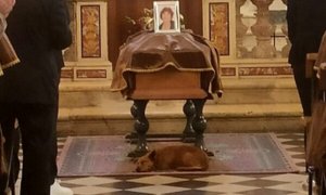 Il cagnolino Bobby non vuole lasciare la sua padrona e si accuccia sotto la bara