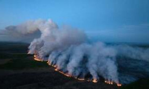 Il fumo degli incendi in Canada &egrave; arrivato fino alla Sardegna. Ecco le immagini del satellite