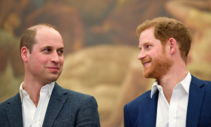 Lady Diana, il collante che tiene uniti William e Harry