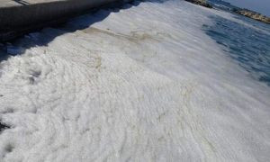 La schiuma che si forma nel mare non &egrave; sempre &egrave; sintomo d'inquinamento