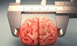 I danni che provoca il cambiamento climatico sul nostro cervello