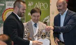 L&rsquo;olio &lsquo;Terracuza&rsquo; di Bolotana porta a casa il premio &lsquo;Gran goccia d&rsquo;oro&rsquo;