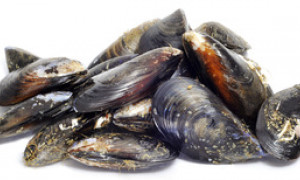 Colera ad Arbus, paziente sta bene e presto potrebbe essere dimesso