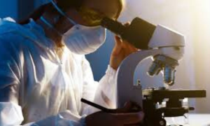 Colera, l&rsquo;assessore Doria: &ldquo;Il ceppo rilevato non &egrave; fra quelli che sono causa di epidemie&rdquo;