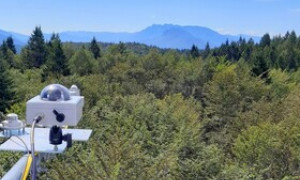 Un monitoraggio tester&agrave; lo stato di salute di 15 foreste nel mondo