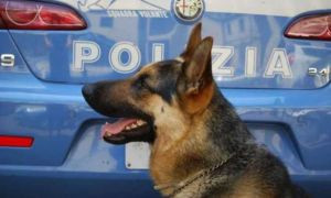 &quot;L'amicizia &egrave; una cosa seria&quot;: la campagna della Polizia di Stato contro l'abbandono degli animali