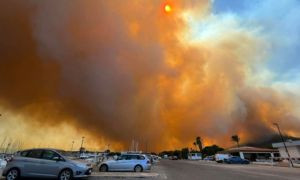 Incendi in Sardegna: trovati gli inneschi dei roghi, sale a quattro il bilancio dei feriti
