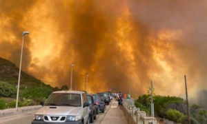 Incendio boschivo: come comportarsi in caso di emergenza