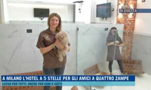 Milano: l&rsquo;hotel a 5 stelle dedicato al benessere dei cani