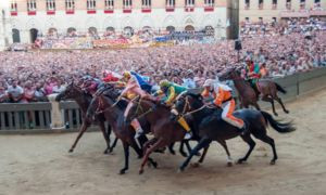 Palio di Siena: Carlo Sanna cade e il cavallo &quot;scosso&quot; conquista Siena