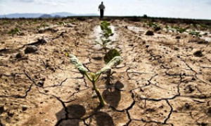Il 2023 &egrave; il terzo anno pi&ugrave; bollente dal 1800 in Italia