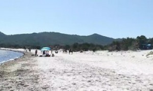 Capo Comino, pariglie sulla spiaggia, stupore e panico tra i bagnanti