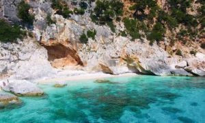 Donna di 28 anni muore schiacciata da un albero a Baunei