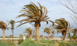 Maltempo, Sardegna sferzata dal maestrale, tempesta nell&rsquo;oristanese