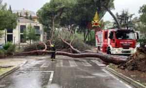 Maltempo, allerta meteo in tutta Italia: frane, nubifragi e forte vento da Nord a Sud