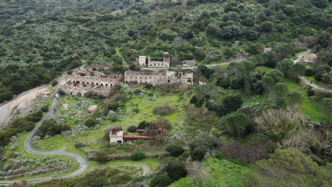 Fuori dal Gregge