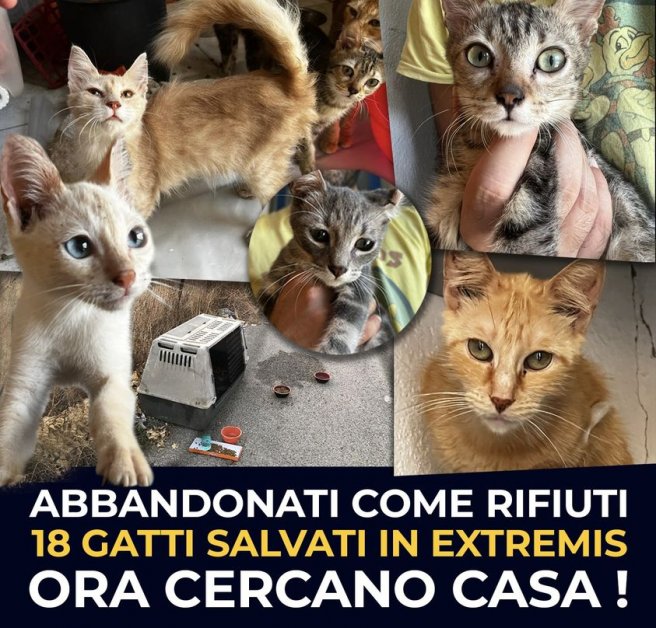 Prossima Fermata
