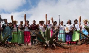Brasile: la Corte Suprema approva il diritto alla terra degli indigeni