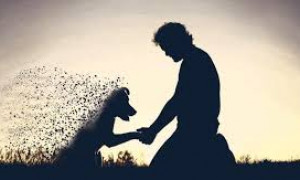 Intervista a Laura Vidal: come superare la perdita del tuo amico animale