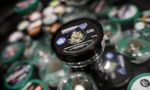 Cannabis light, stop del Tar al decreto del Governo sui prodotti per uso orale