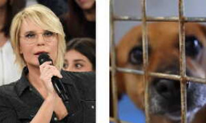 Uomini e Donne: arriva il progetto per la tutela degli animali &ldquo;Adotta un amico&rdquo;