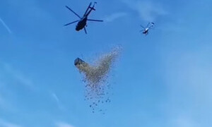 1 milione di dollari &egrave; piovuto dal cielo in Repubblica Ceca