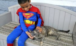Catman: il piccolo supereroe che salva i gatti senza casa di Philadelphia