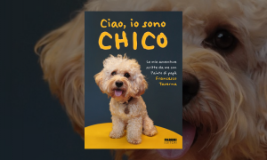 L'autunno, la stagione dei libri e delle novit&agrave;!