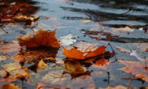 Meteo della settimana: in arrivo due nuove perturbazioni