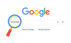 Il misterioso codice 241543903 su Google: si tratta di &quot;easter egg&quot;, ecco cosa sono
