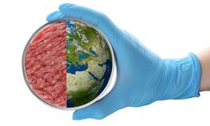 Carne coltivata: l'Italia &egrave; il primo paese al mondo a vietarla