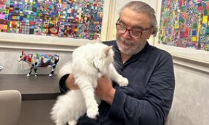Scompare il gatto di Frassica, la moglie del comico denunciata da una famiglia