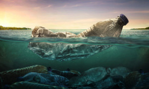 Sardegna: un mondo &quot;Plastic Free&quot; nasce dalle aule di scuola