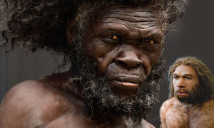 Chi dorme di meno ha ereditato dall' uomo di Neanderthal