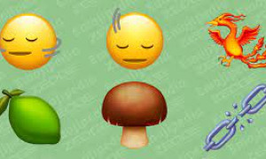 Le nuove emoji del 2024