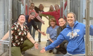 Record di adozioni per un rifugio in Pennsylvania