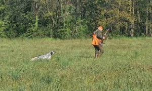 Caccia, le doppiette anche ai sedicenni