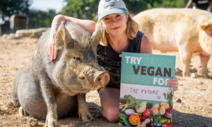 Veganuary: un mese per provare l'alimentazione vegana