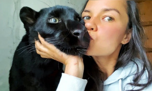 Luna e Venza: Un'insolita amicizia che sta conquistando il mondo online