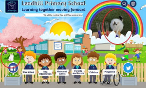 Ecco la storia di Patches, il gatto mascotte di una scuola elementare di Belfast