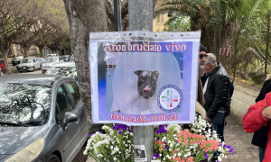 Un monumento a Palermo per onorare la memoria di Aron