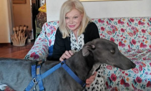 Sandra Milo, l'addio ai suoi amati cani