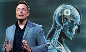Neuralink, la start up di Elon Musk in grado di muovere il cursore del mouse con il pensiero