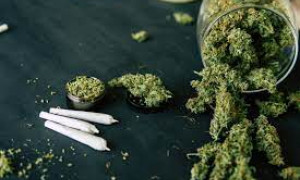 La Germania legalizza la cannabis: una svolta storica