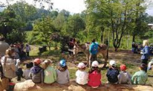 Oasi canina a Macchiareddu: il Comune firma la convenzione con il Centro cinofilo Dorys